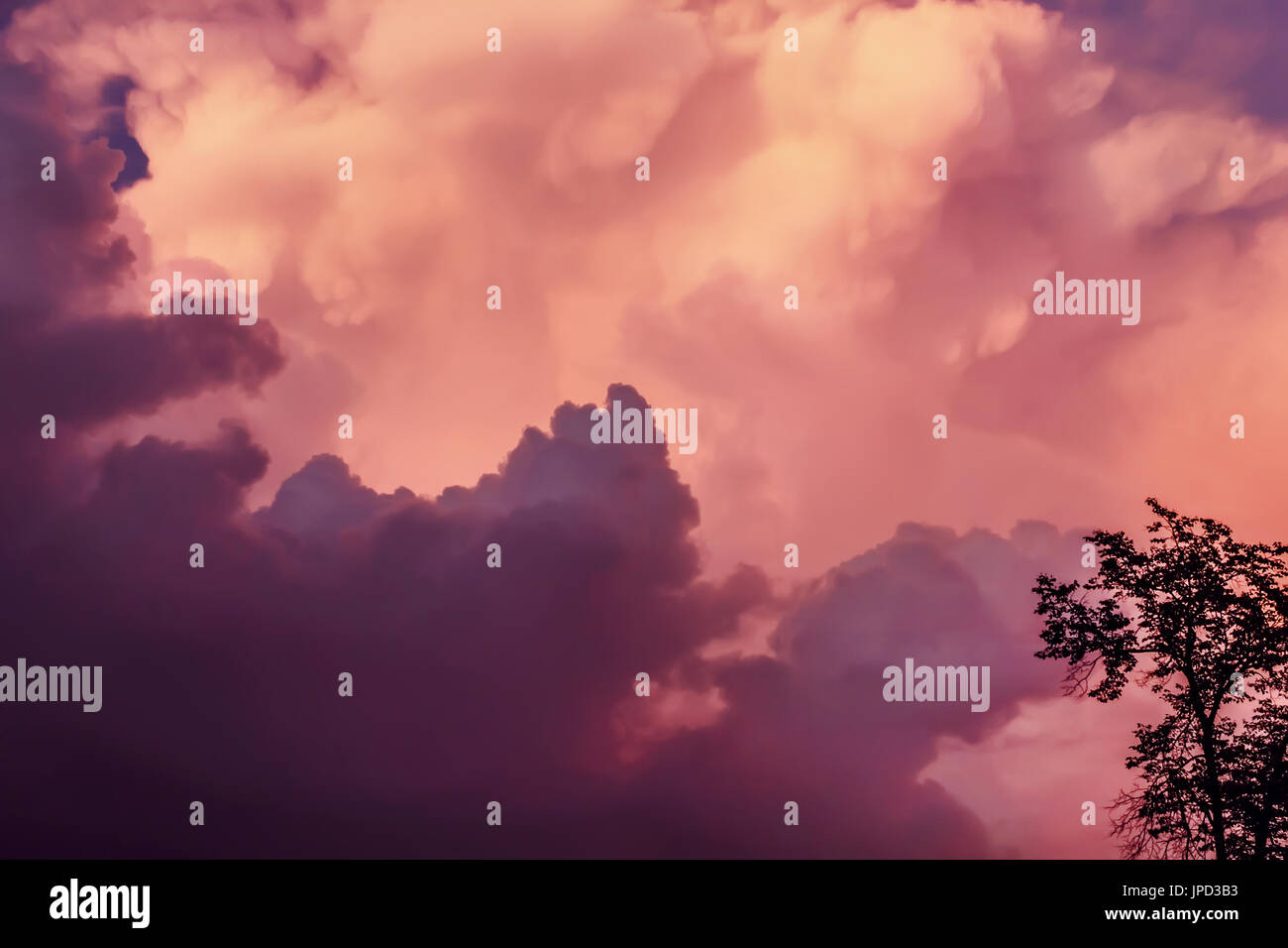 Great purple clouds on sky before storm Stock Photo