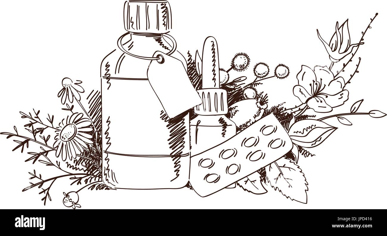Hand draw medicinal plants and medicine. The concept of phytotherapy