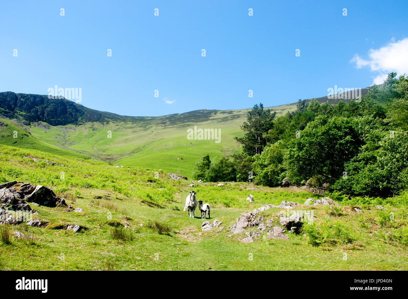 Hill walking in the Lake District National Park. Stock Photo