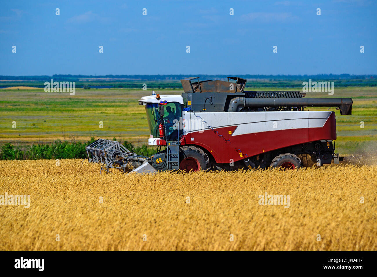 Grain harvesting combines work in wheat field Stock Photo Alamy