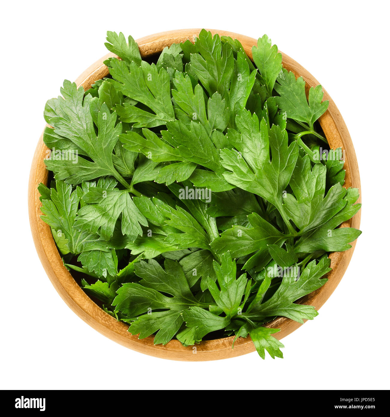 Fresh flat leaf parsley in wooden bowl. Green leaves of Petroselinum crispum, used as herb, spice and vegetable. Isolated macro food photo close up. Stock Photo