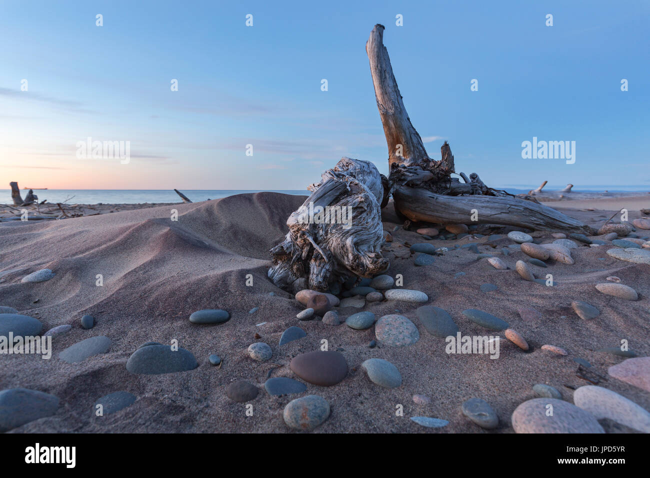 Driftwood and Lake Superior stones litter Whitefish Point beach in the Upper Peninsula of Michigan at sunset Stock Photo