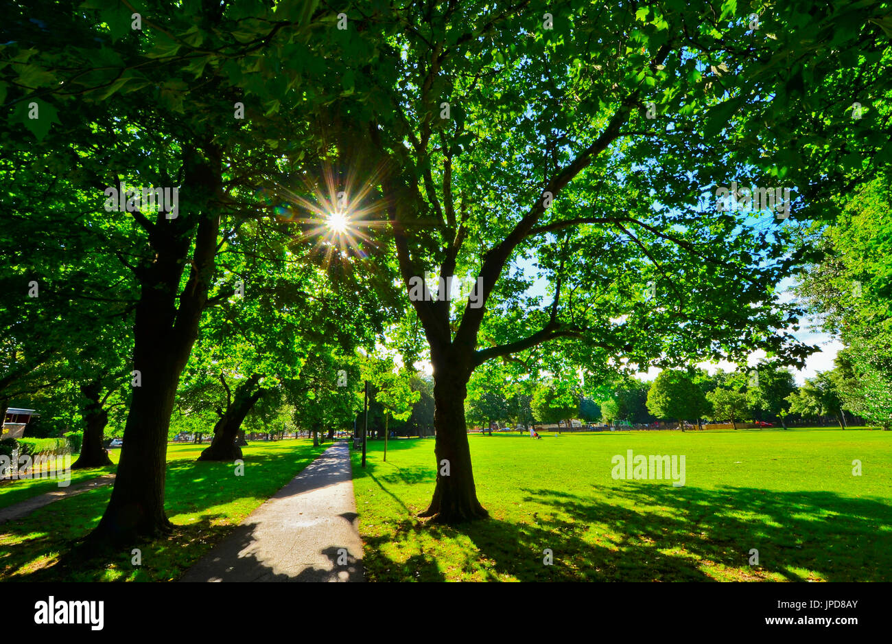 Summmers hires stock photography and images Alamy