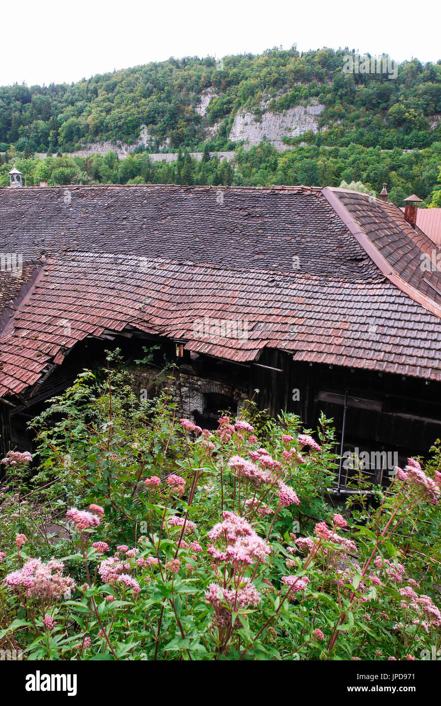 A tour at the Syam Jura, France Stock Photo Alamy