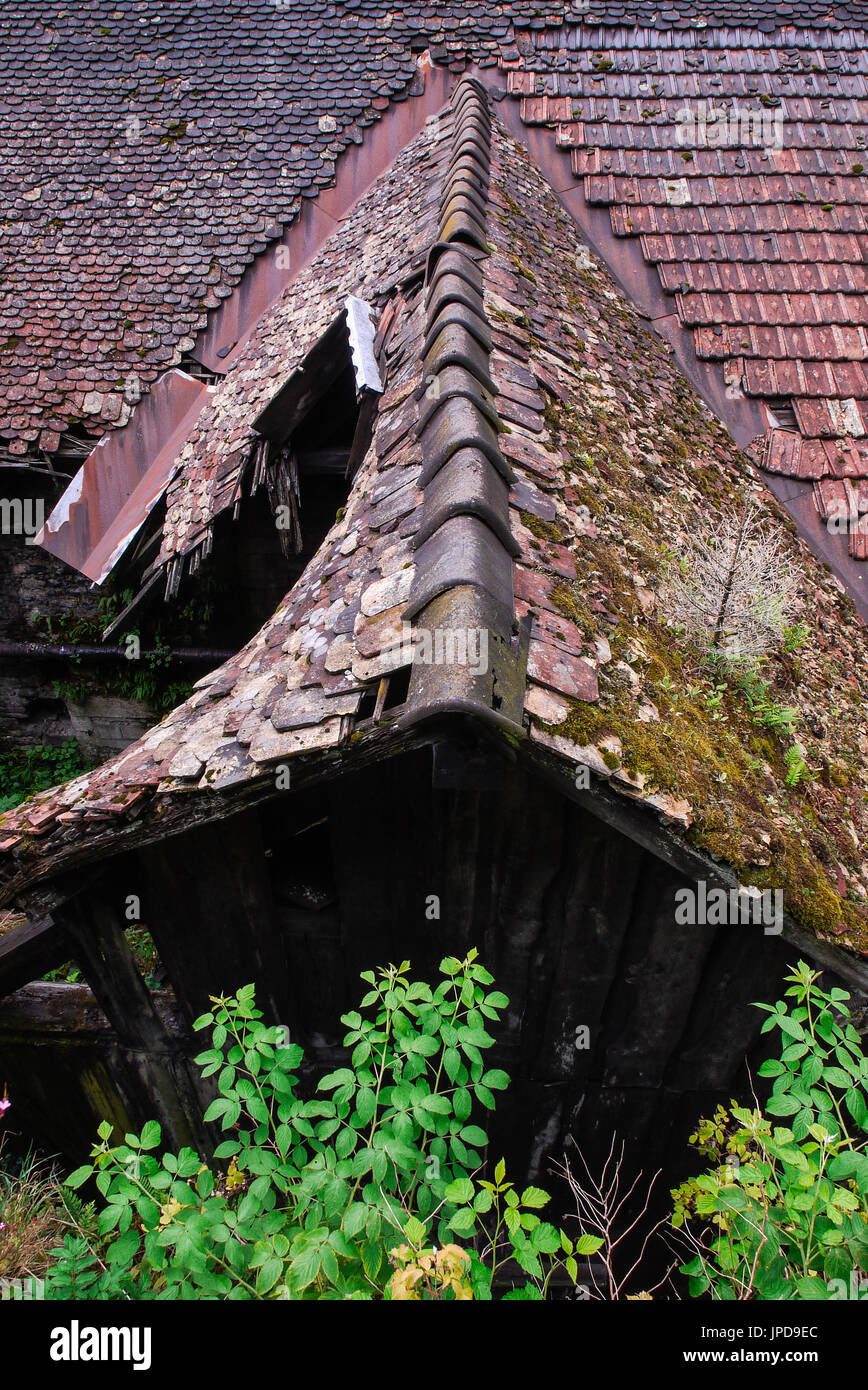 A tour at the Syam Jura, France Stock Photo Alamy
