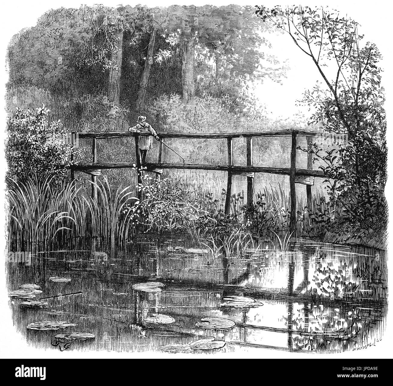 1870: Young boy fishing in a pool in one of the many forests near Godalming, in Surrey, England Stock Photo