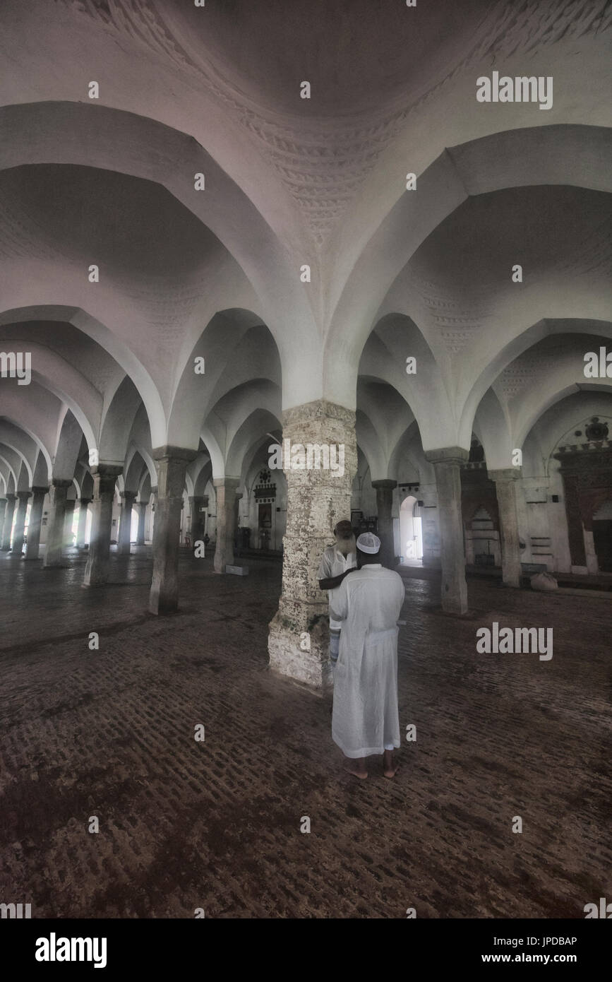 Jinsiy aloqa Mikki Sichqoncha va Pluton