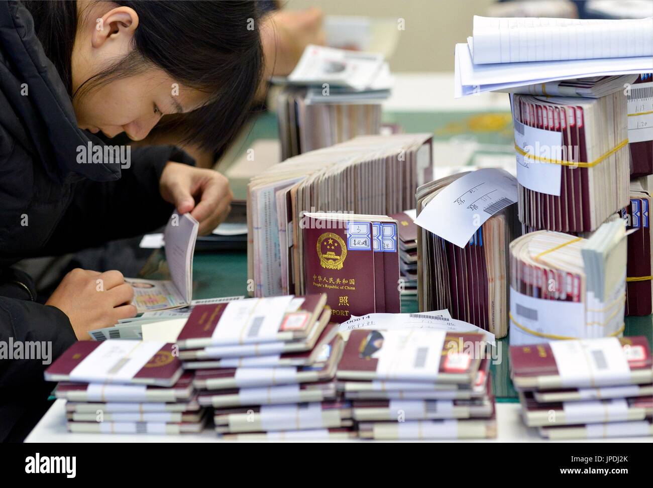 A travel agency worker helps with processing applications for visas and