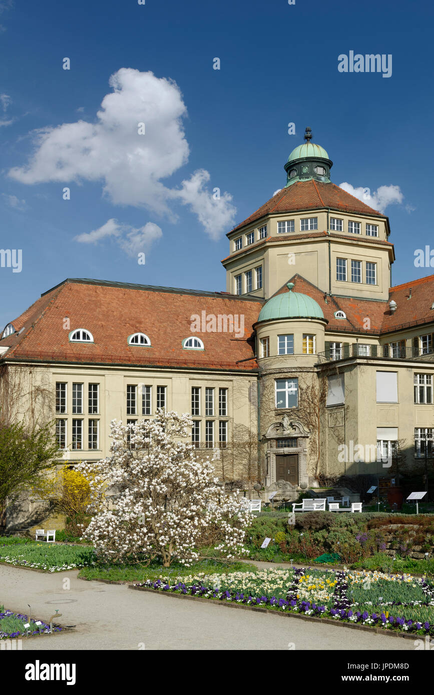 Botanisches hires stock photography and images Alamy