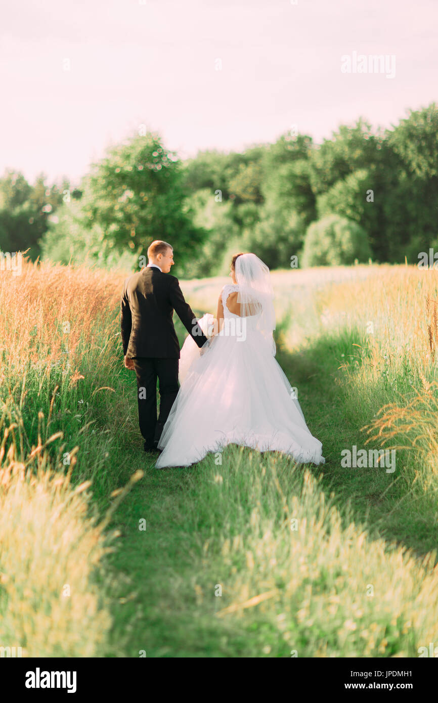 The back view of the walking newlyweds holding hands in the green field ...