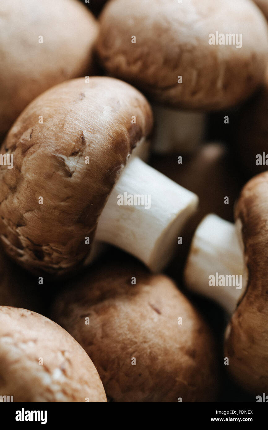Champignon portobello hires stock photography and images Alamy
