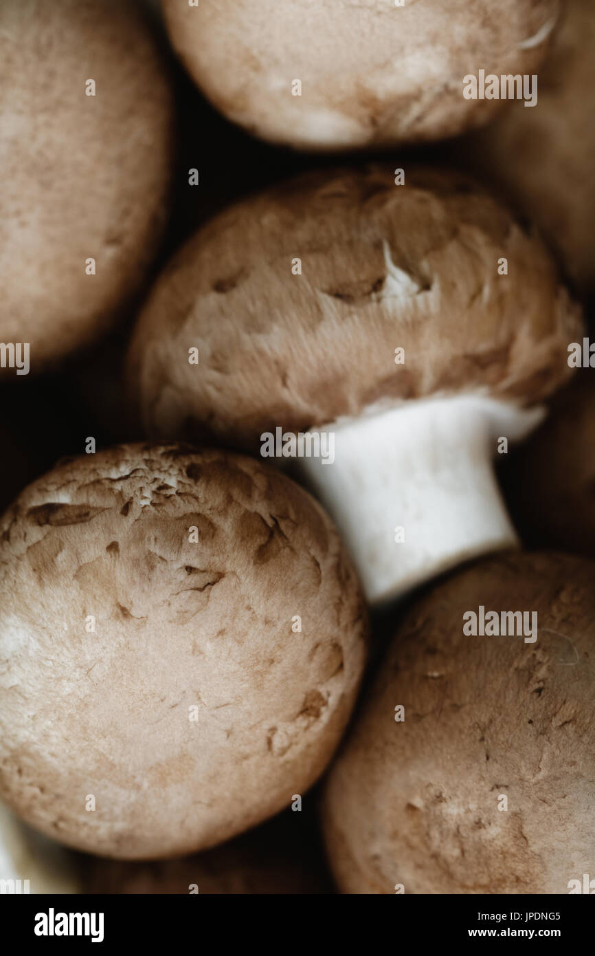 Champignon portobello hires stock photography and images Alamy