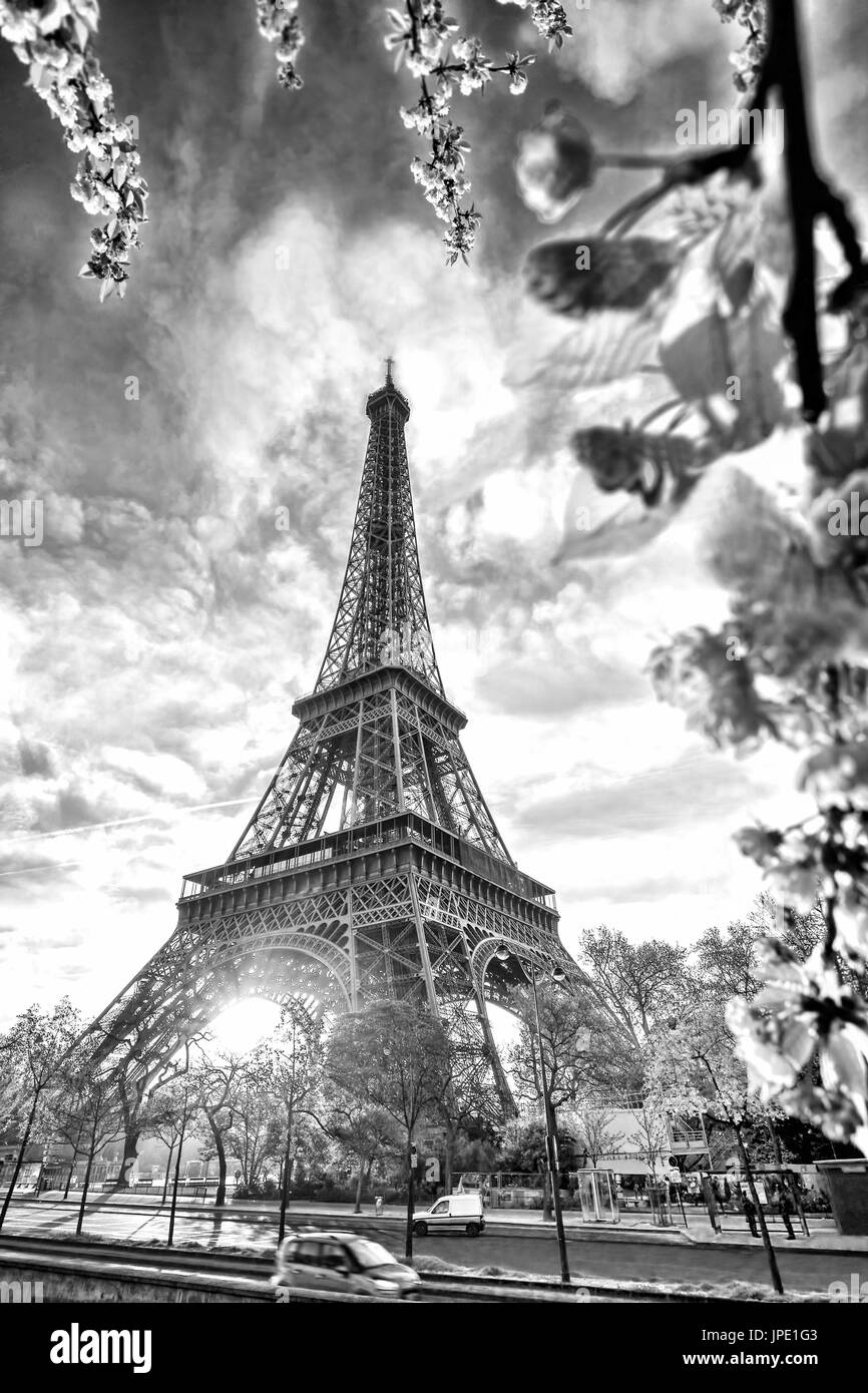 Eiffel Tower during spring time in Paris, France Stock Photo