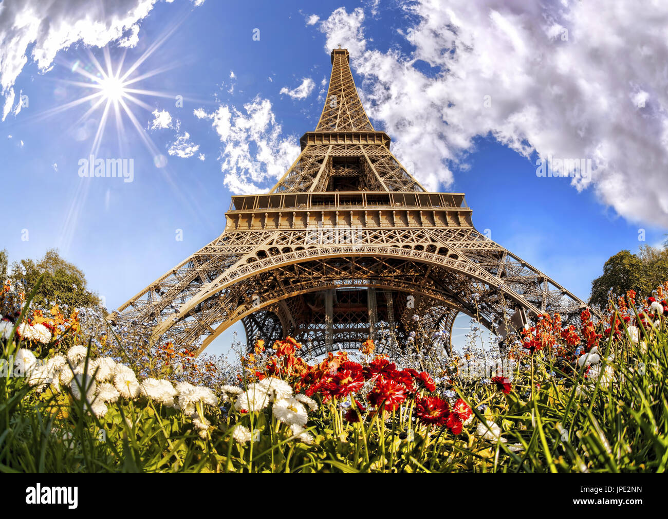 Eiffel Tower with flowers in Paris, France Stock Photo - Alamy