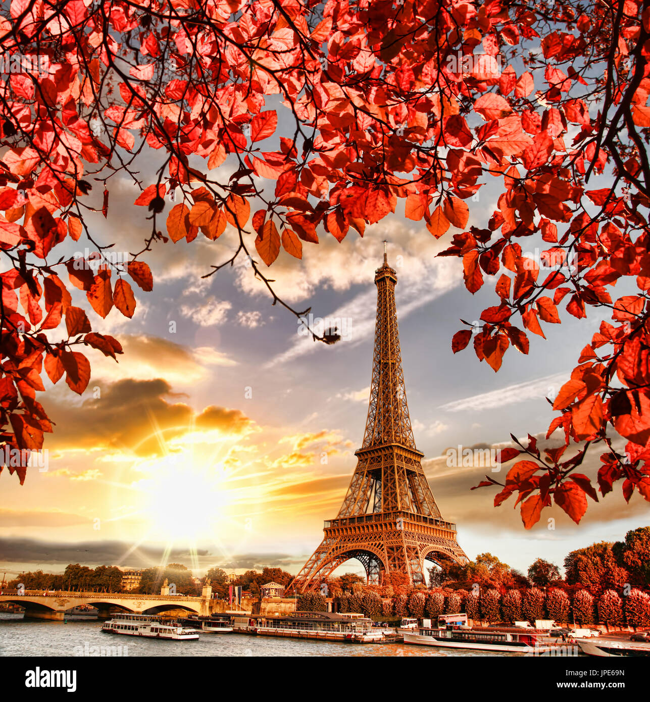 Eiffel Tower with autumn leaves in Paris, France Stock Photo