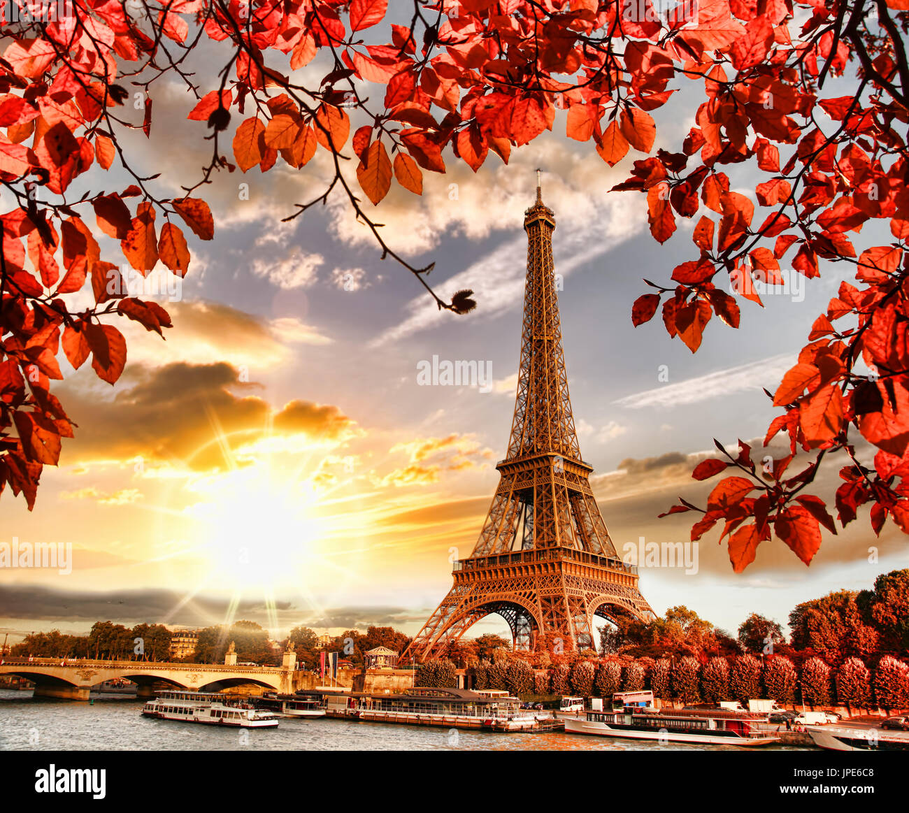 Eiffel Tower with autumn leaves in Paris, France Stock Photo