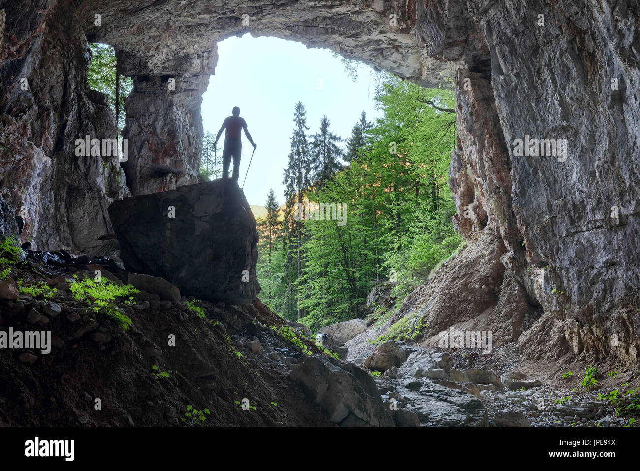 Europe, Italy, Friuli Venezia Giulia, Claut, province of Pordenone. The Landre Scur cave in the forest of Lesis Stock Photo
