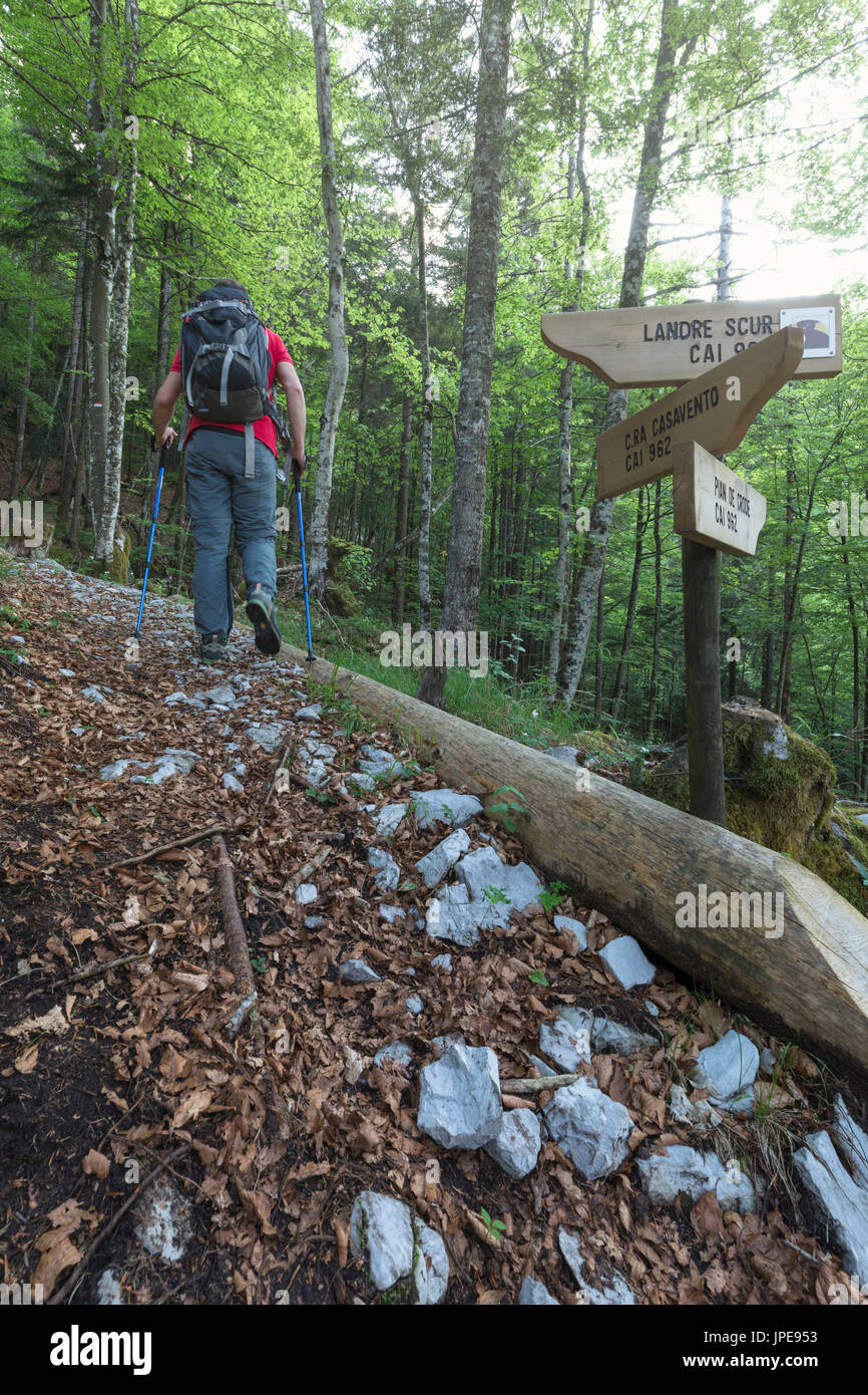 Europe, Italy, Friuli Venezia Giulia, Claut, province of Pordenone. Hiker walking on the path to Landre Scur cave Stock Photo