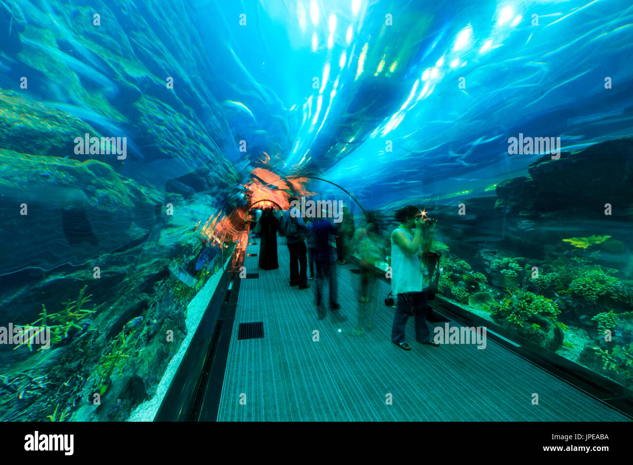 Aquarium in Dubai Mall - world's largest shopping mall , Downtown Burj Dubai in Dubai, United Arab Emirates. Stock Photo