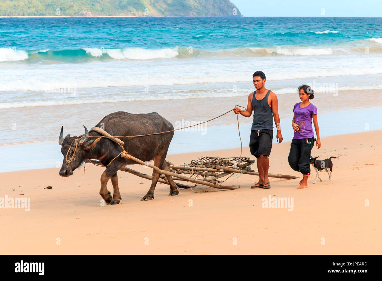 Nacpan, Philippines. Farmers of Nacpan walking on the beach with a Carabao, the water buffalo Stock Photo