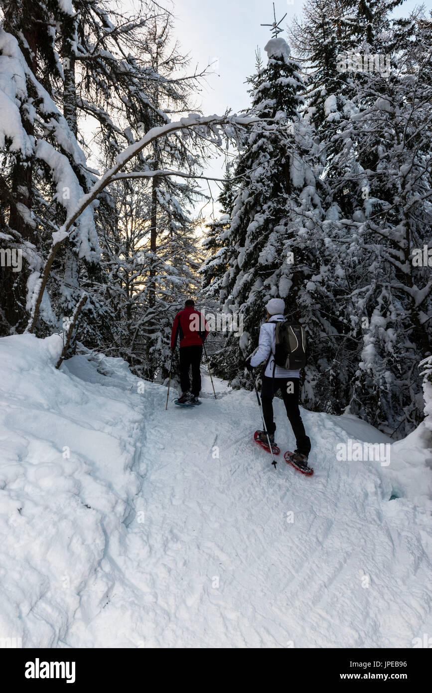 Snowshoe hikers walking along a track above the Mendel Pass. Non Valley, Trentino Alto Adige, Italy, Europe. Stock Photo