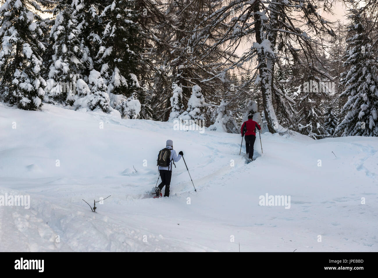 Snowshoe hikers walking along a track above the Mendel Pass. Non Valley, Trentino Alto Adige, Italy, Europe. Stock Photo