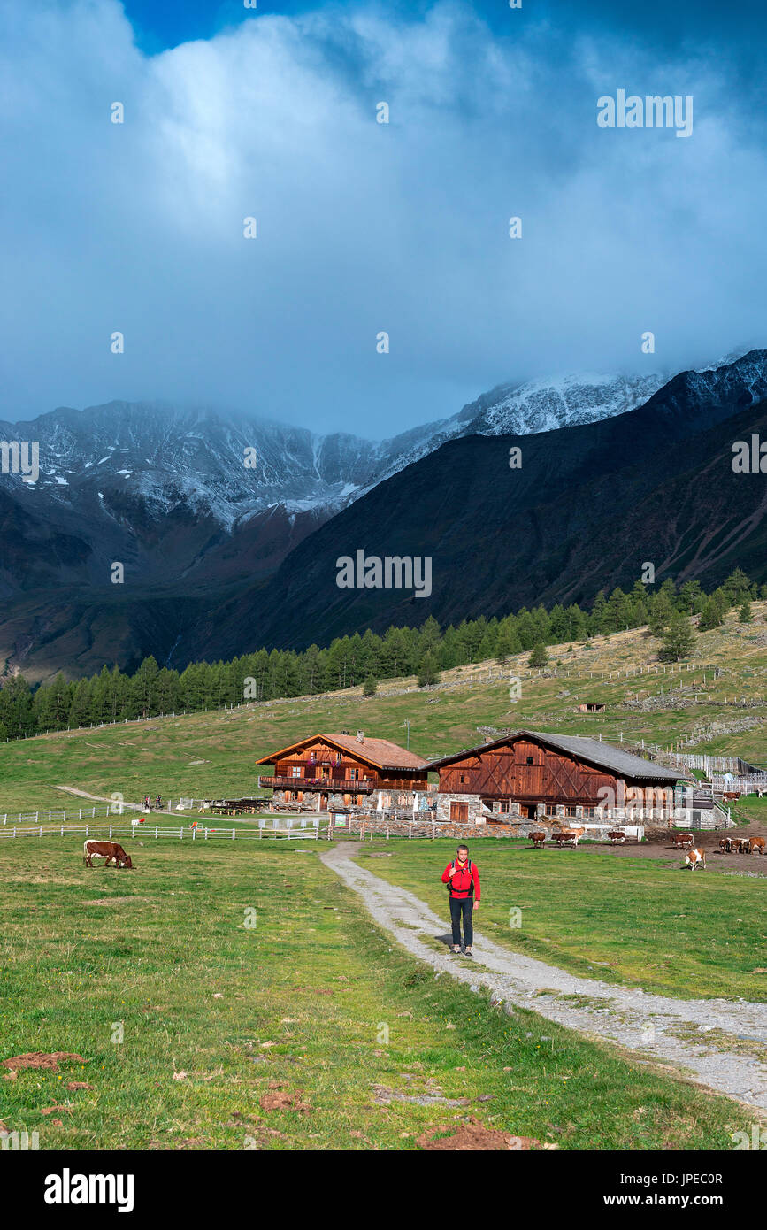 Senales/Schnalstal, , Bolzano province, South Tyrol, Italy. The hut of Eishof in the Pfossen Valley Stock Photo