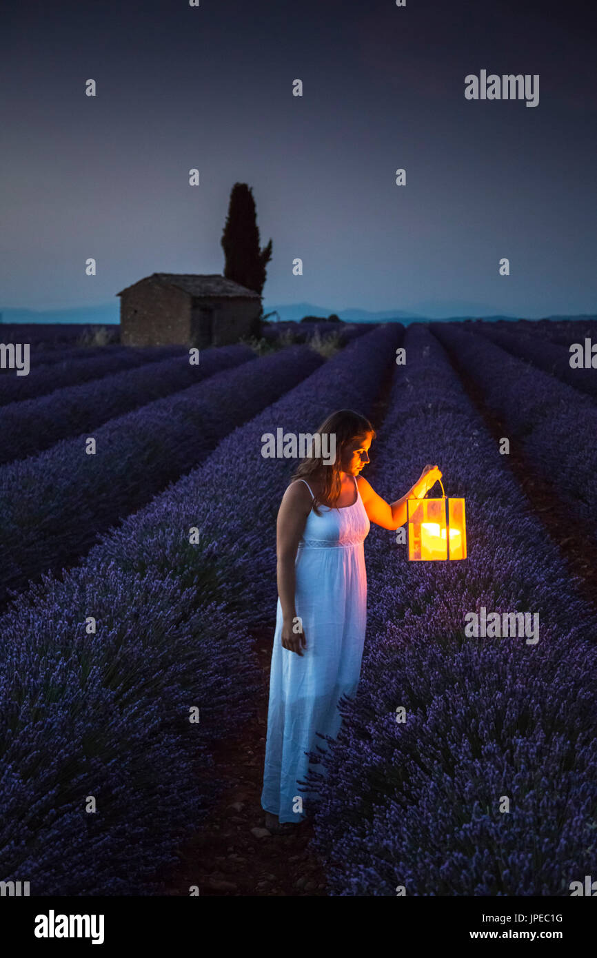 Woman with lantern at dawn in a lavender field. Plateau de Valensole, Alpes-de-Haute-Provence, Provence-Alpes-Côte d'Azur, France, Europe. Stock Photo