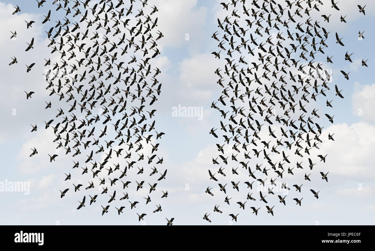 Divided opinion and social division or divided crowd thinking concept as two groups of birds flying in opposite directions. Stock Photo