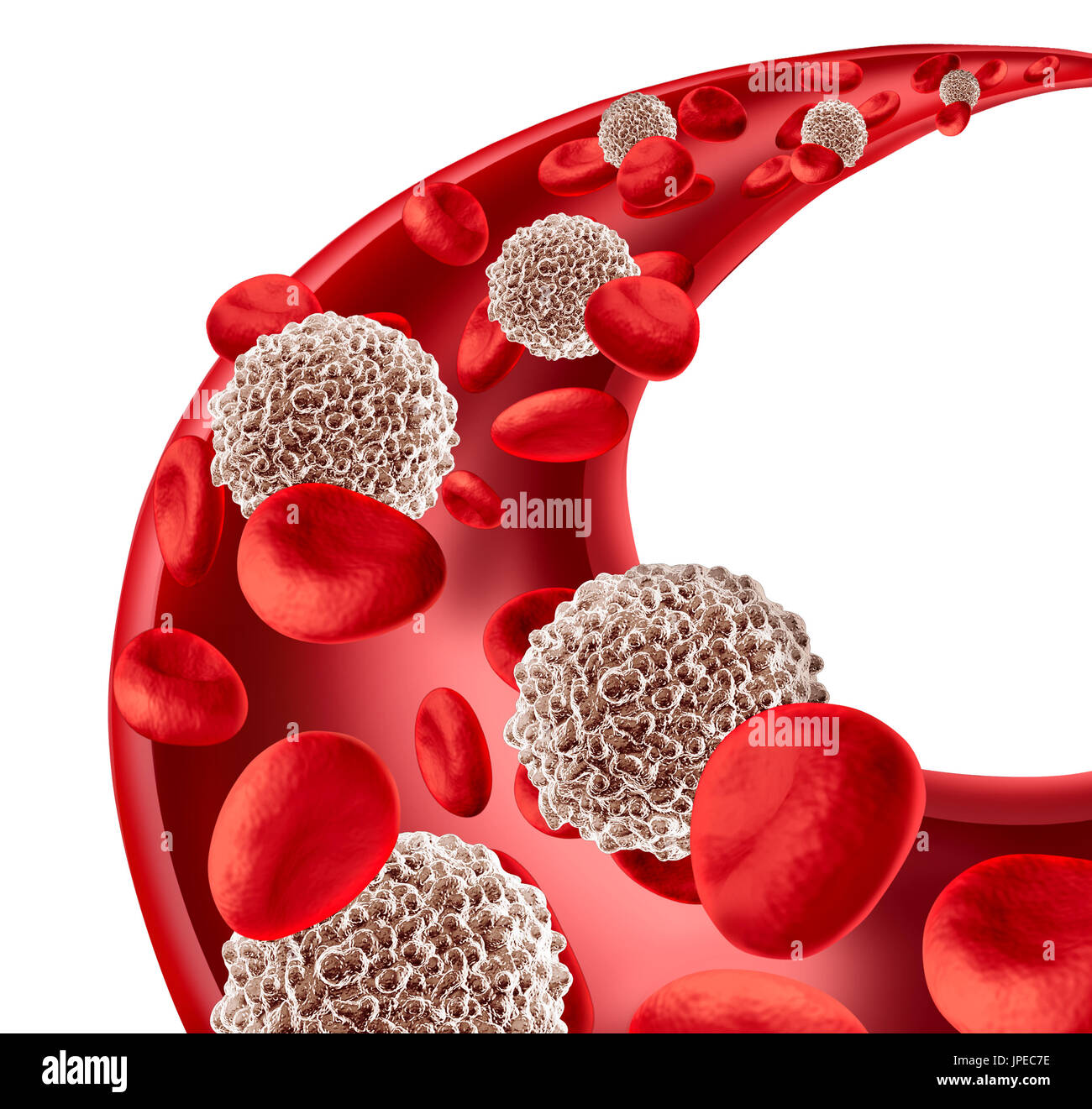 White blood cells circulation concept in a human artery flowing through red blood as a microbiology symbol of the human immune system. Stock Photo