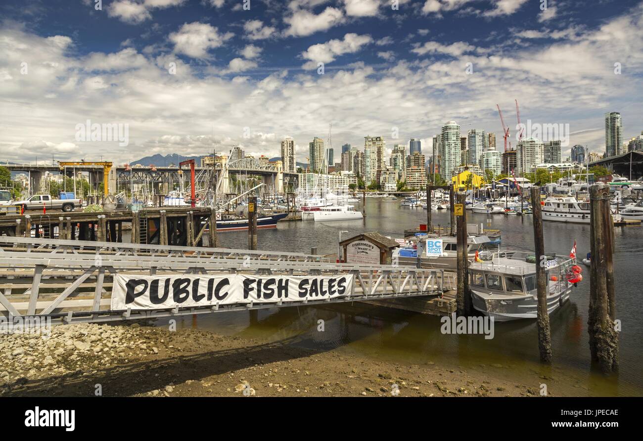 Public Fish Sales Moored Yachts False Creek Marina Burrard Bridge North Shore Mountains.  City of Vancouver Urban Skyline, Pacific Northwest BC Canada Stock Photo