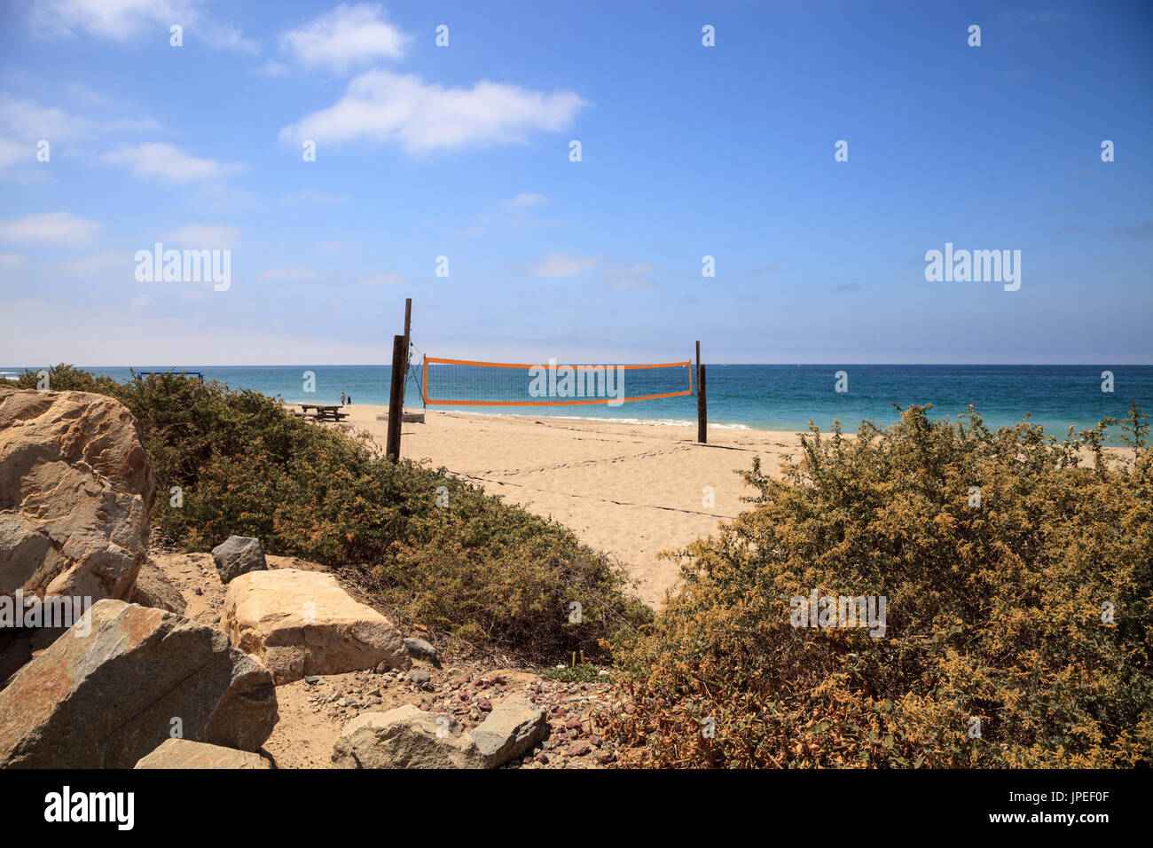 Are Dogs Allowed At San Clemente State Beach