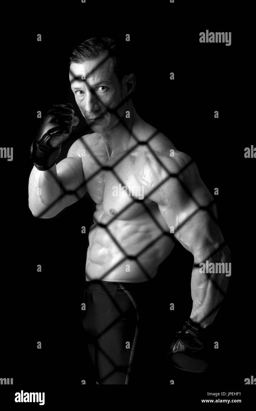 Strong Mixed Martial Arts fighter inside the cage Stock Photo Alamy