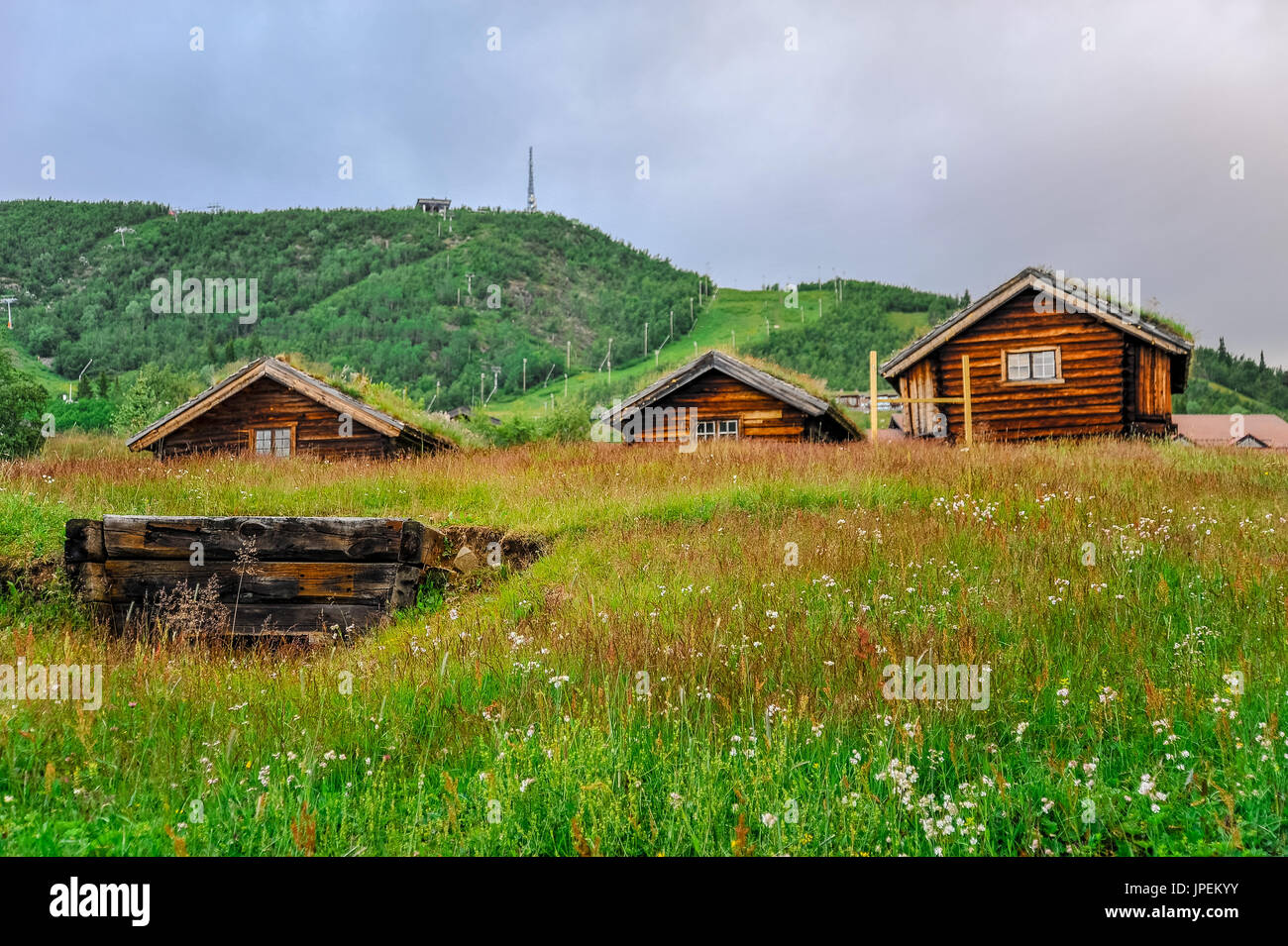 GEILO, NORWAY JULY 19 Old traditional Norwegian houses with grass on