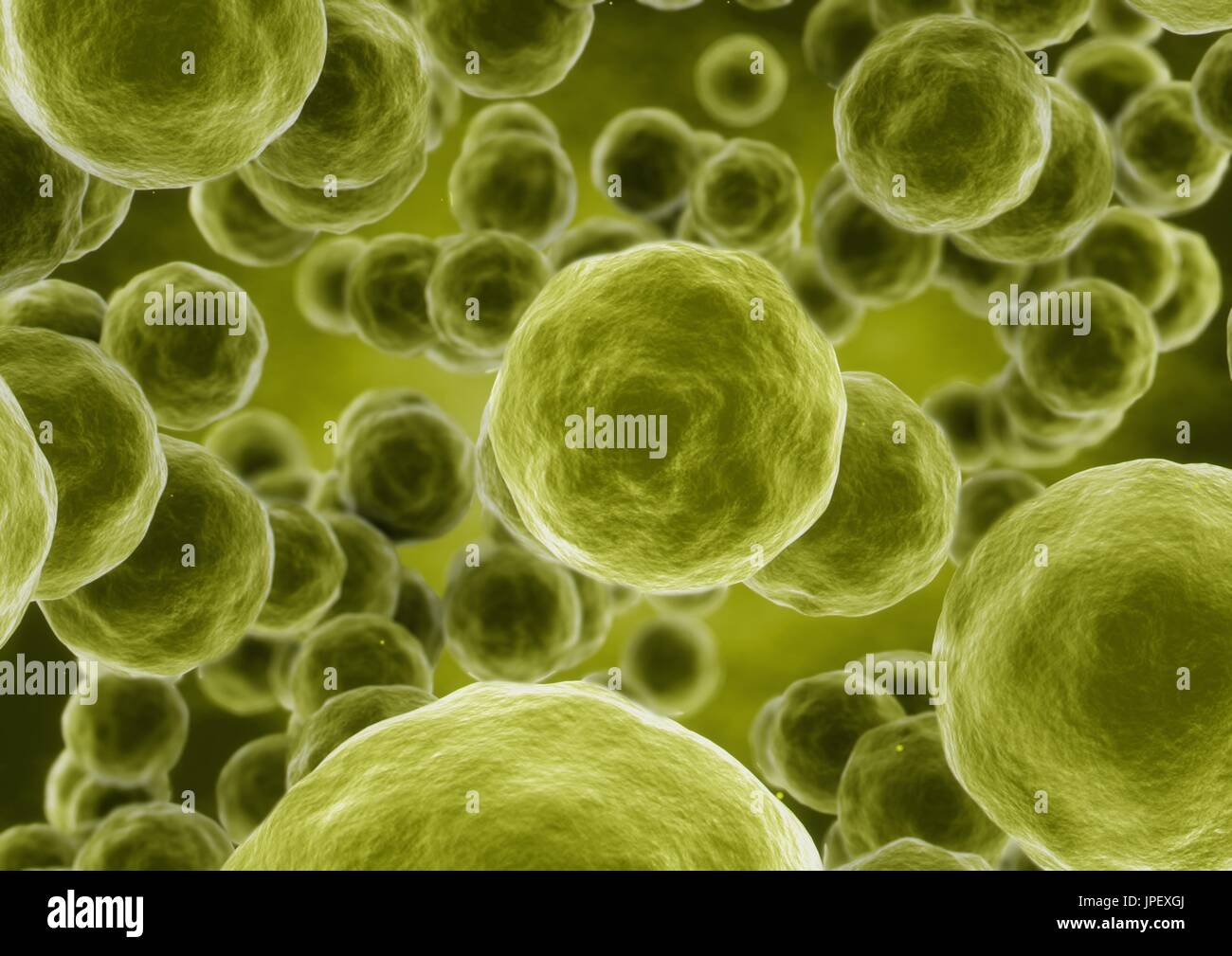 3D rendering Bacteria closeup Stock Photo