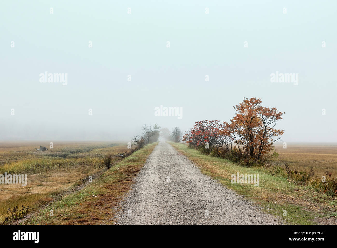 Walking path trough salt marsh, Scarborough, Maine, USA. Stock Photo