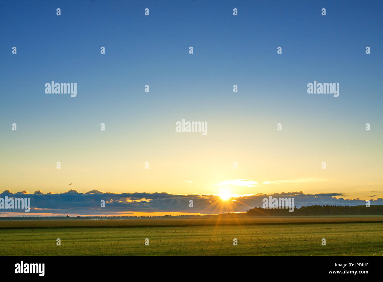 summer rural landscape with sunrise field sky and sun scenery summer rural landscape with sunrise field sky and sun scenery