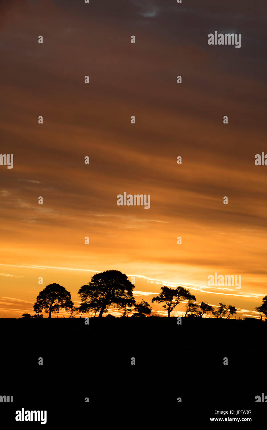 Marwood, Teesdale, County Durham UK.  Wednesday 2nd August 2017. UK Weather.  With rain expected to spread to most parts of the UK today the old country saying of 'red sky in the morning shepherds warning' may well come true today. Credit: David Forster/Alamy Live News. Stock Photo