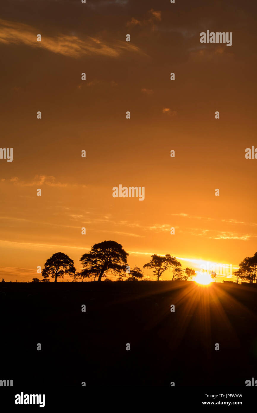 Marwood, Teesdale, County Durham UK.  Wednesday 2nd August 2017. UK Weather.  With rain expected to spread to most parts of the UK today the old country saying of 'red sky in the morning shepherds warning' may well come true today. Credit: David Forster/Alamy Live News. Stock Photo