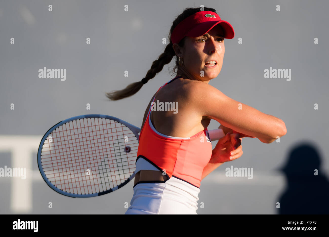 Stanford alize cornet of france hi-res stock photography and images - Alamy