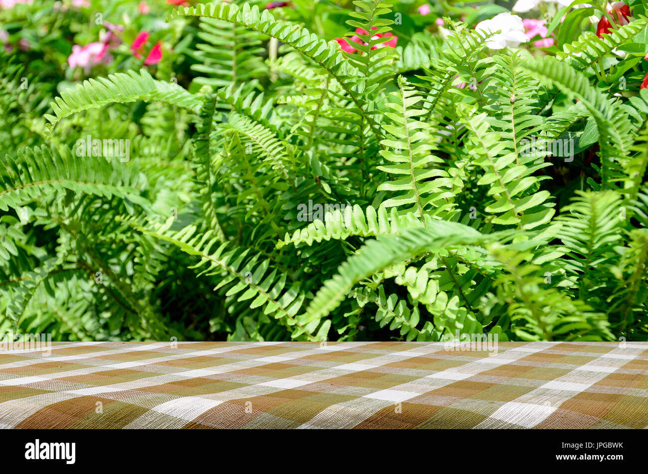 Picnic table with green garden background of Fishbone Fern or Sword Fern (Nephrolepis cordifolia (L.) Presl.) Stock Photo