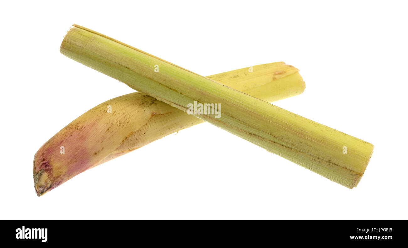 Two lemon grass stalks isolated on a white background. Stock Photo
