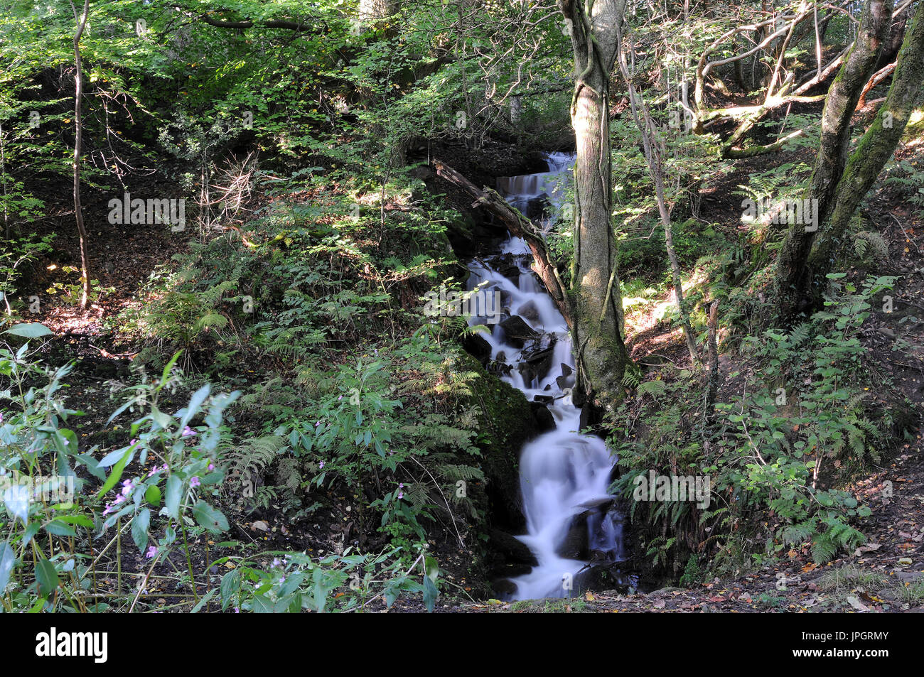 Mountain Stream at Hopkinstown, Pontypridd. Stock Photo