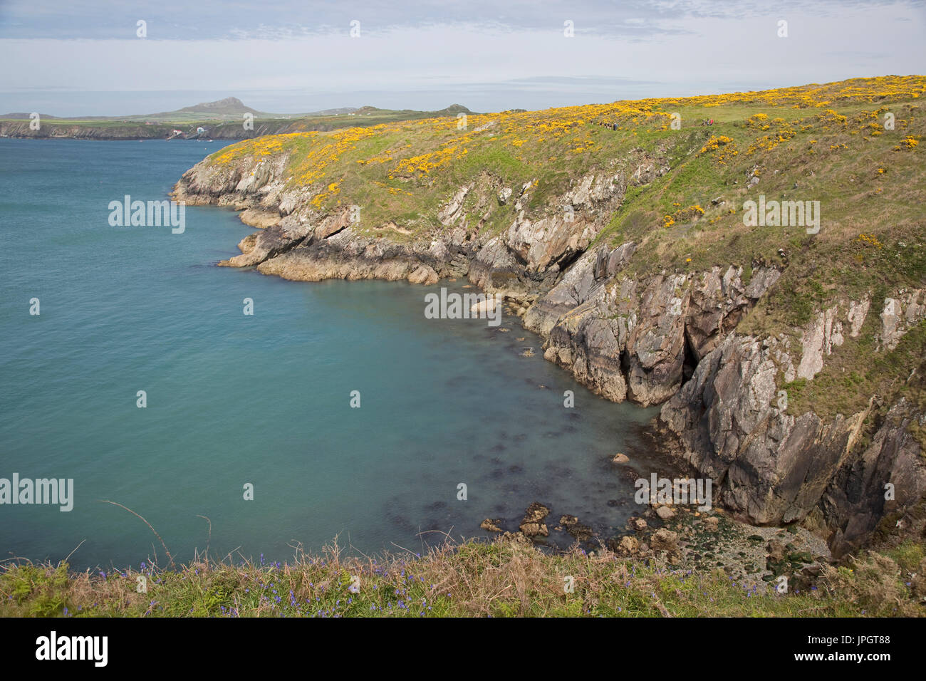 Coastline with Ramsay Island in background near St Davids Pembrokeshire UK Stock Photo
