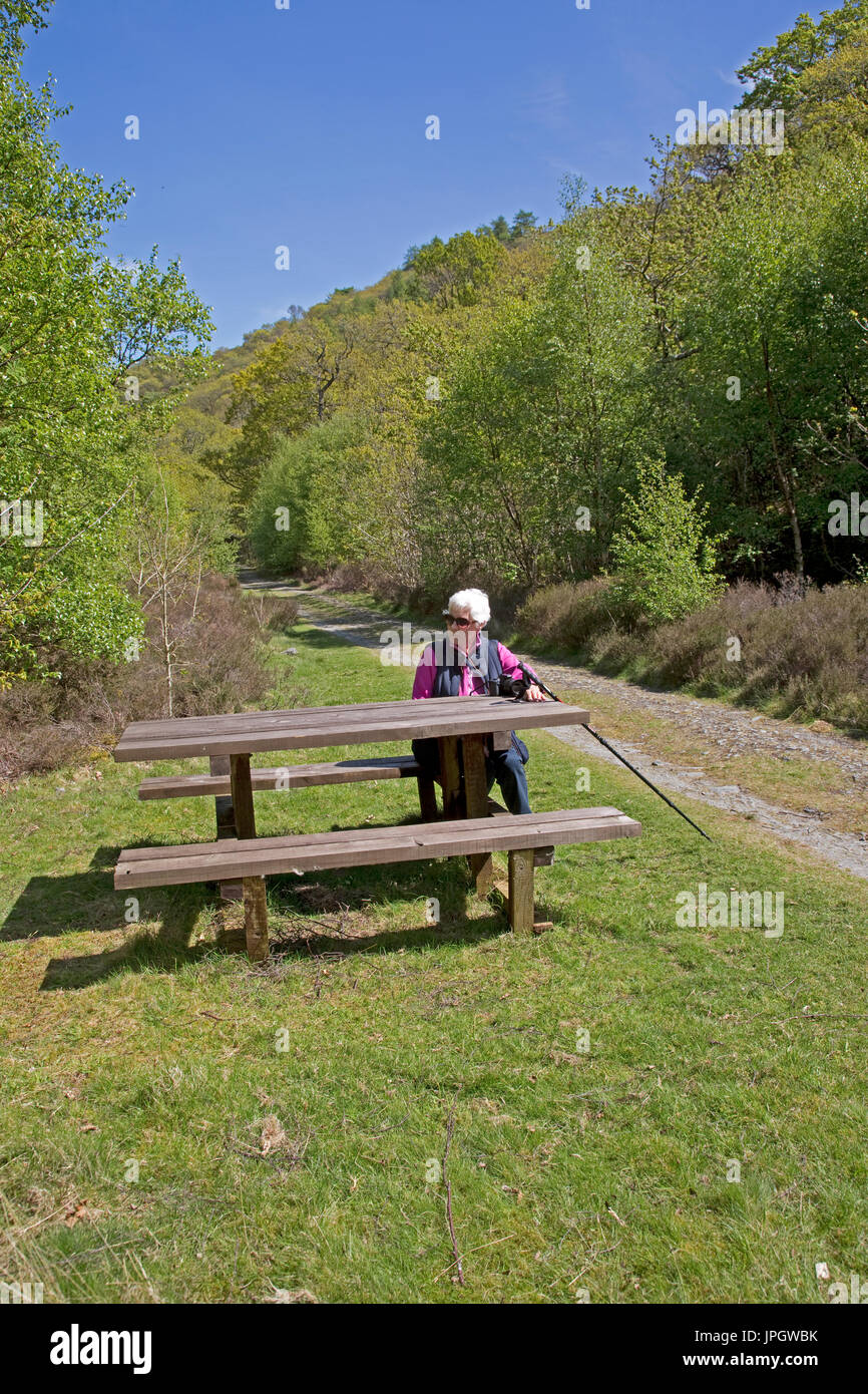Senior woman walker sitting on picnic bench on forest walk Esan Valley UK Stock Photo