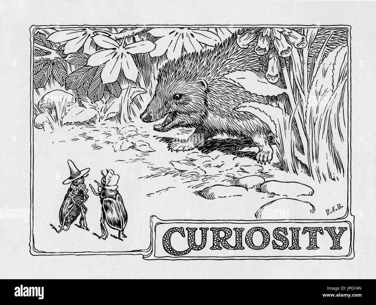 Illustration from the Wonder Book 1921 Stock Photo Alamy