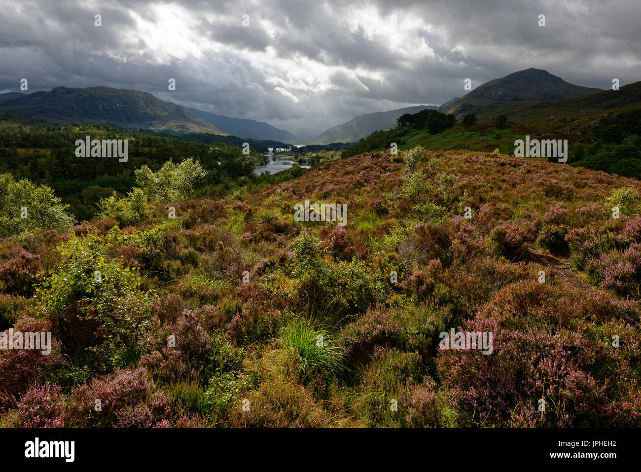 Lake Loch Affric, National Nature Reserve Glen Affric, Highlands