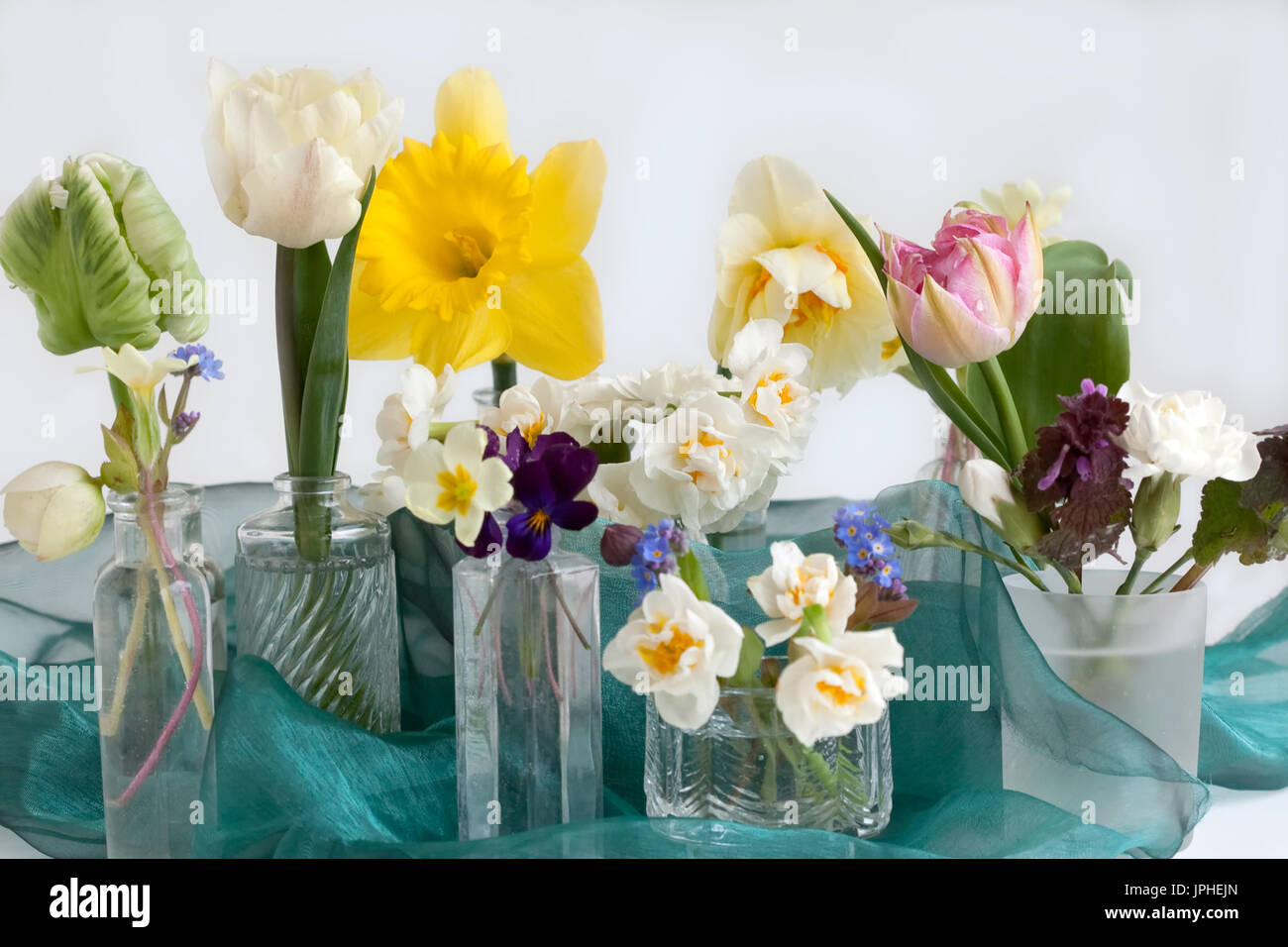 collection of Spring cut flowers Stock Photo Alamy