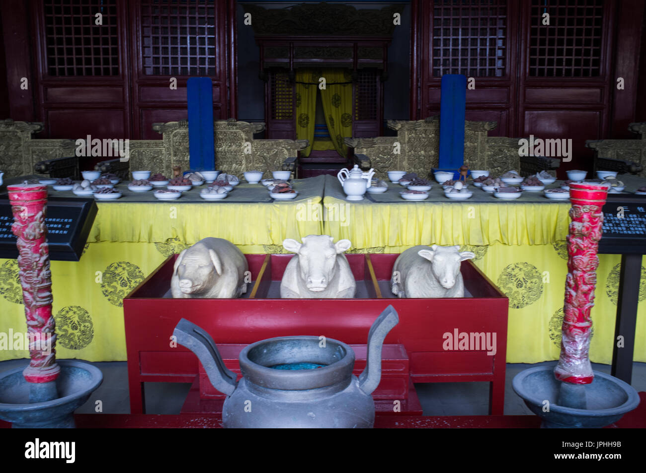 theres a cat in the kettle at the peking moon