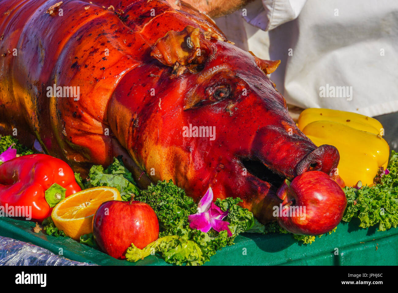 Roasted pig dinner Stock Photo